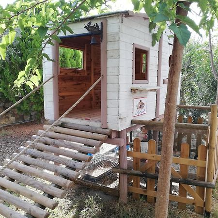 Azienda Agrituristica Le Betulle Riotorto Exteriér fotografie