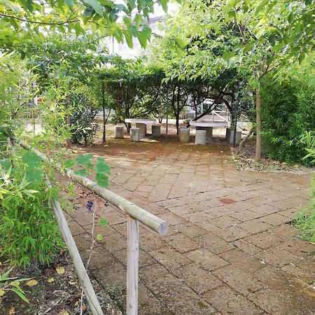 Azienda Agrituristica Le Betulle Riotorto Exteriér fotografie