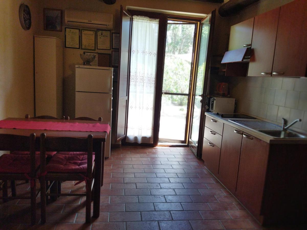 Azienda Agrituristica Le Betulle Riotorto Exteriér fotografie