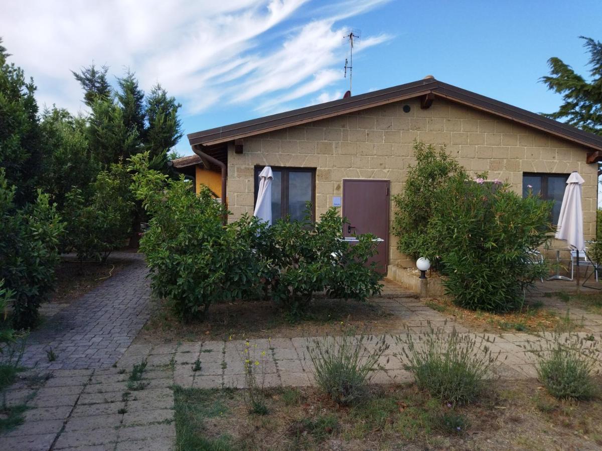 Azienda Agrituristica Le Betulle Riotorto Exteriér fotografie
