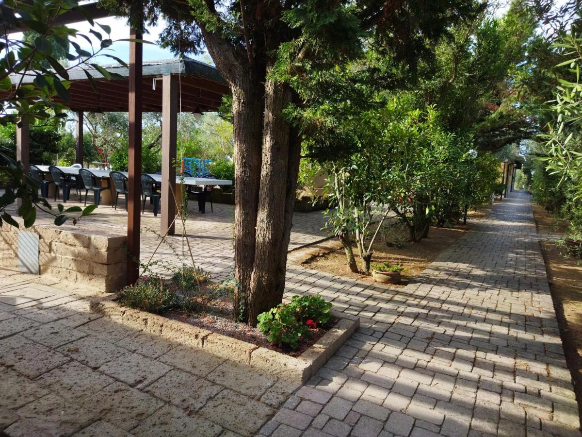Azienda Agrituristica Le Betulle Riotorto Exteriér fotografie