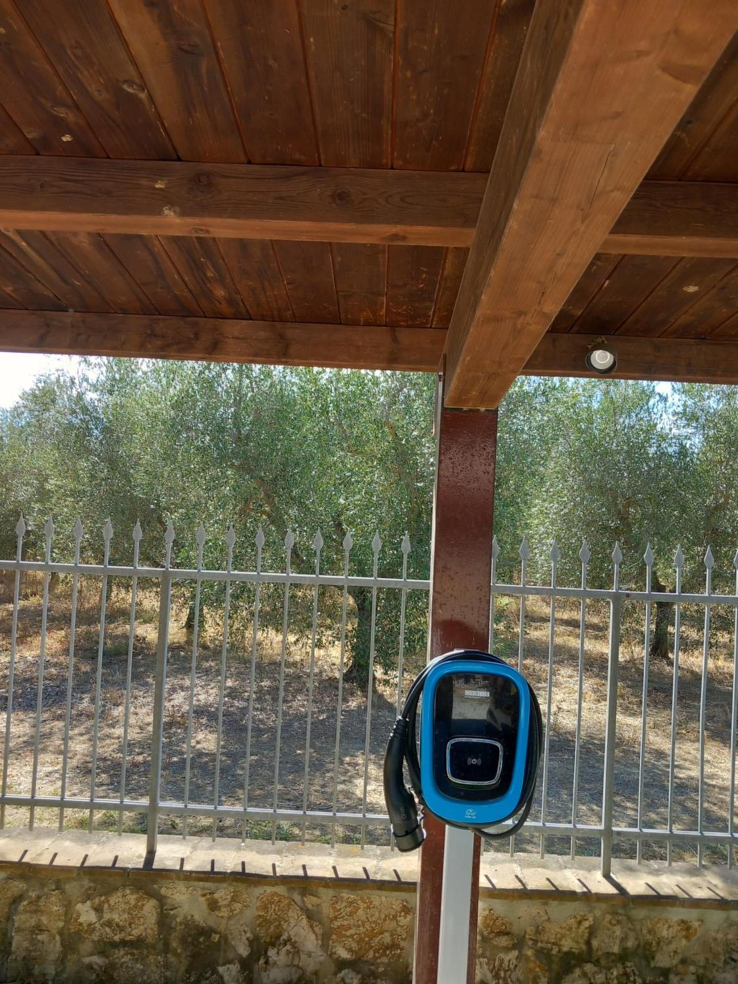 Azienda Agrituristica Le Betulle Riotorto Exteriér fotografie