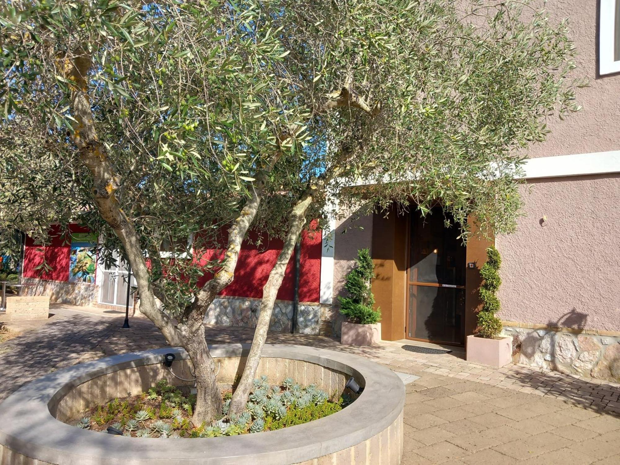 Azienda Agrituristica Le Betulle Riotorto Exteriér fotografie