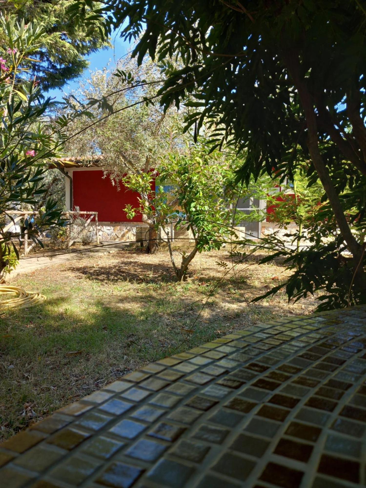 Azienda Agrituristica Le Betulle Riotorto Exteriér fotografie
