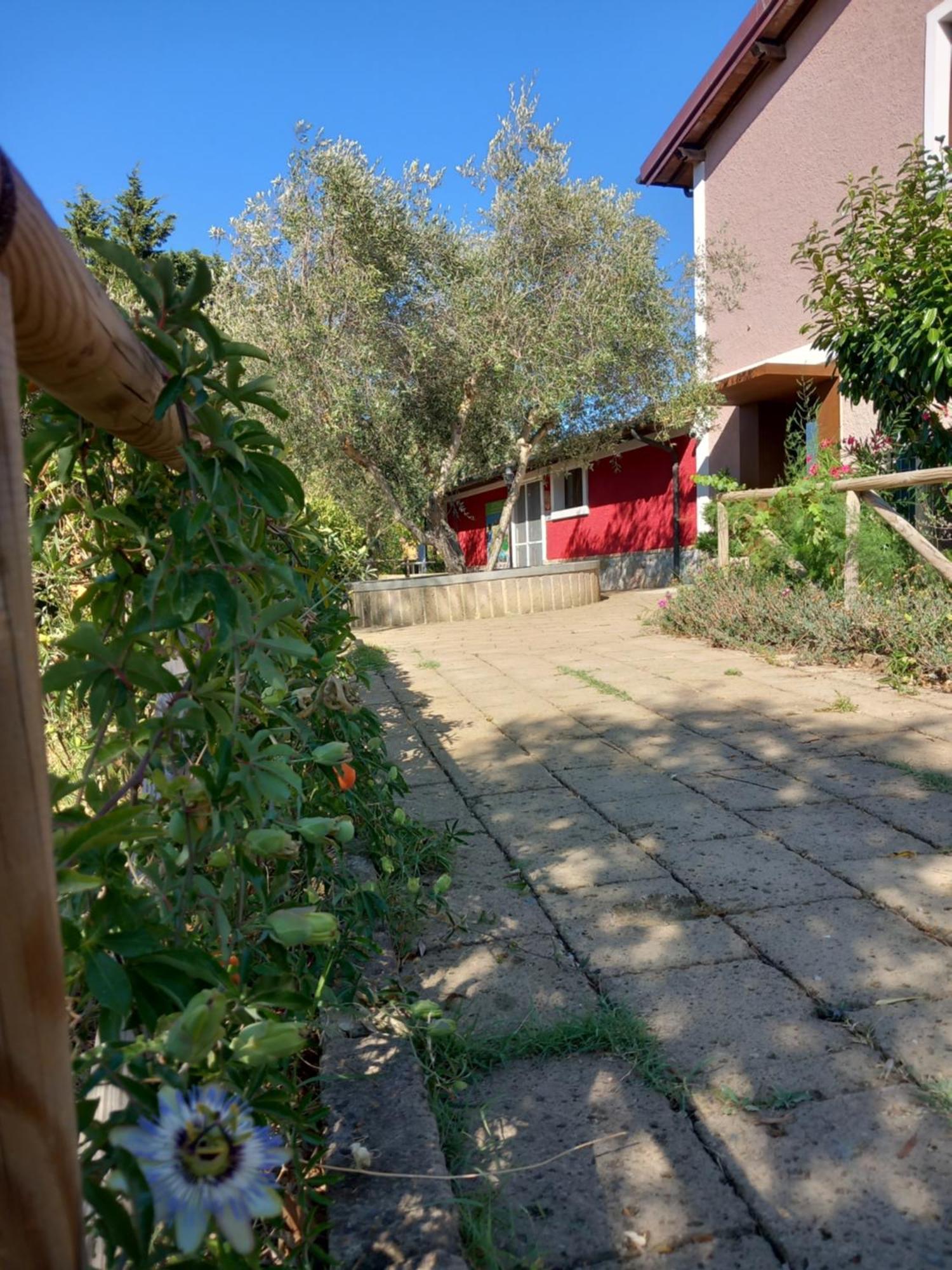 Azienda Agrituristica Le Betulle Riotorto Exteriér fotografie