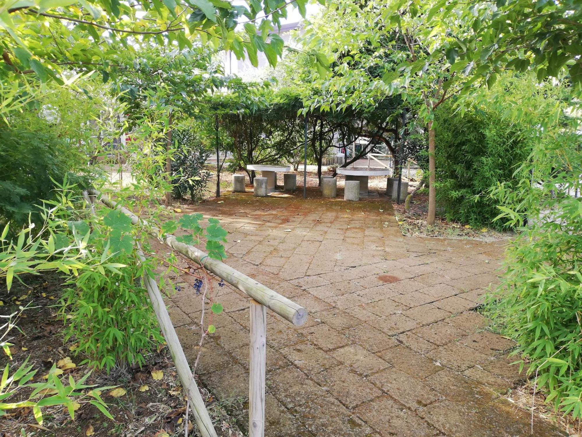 Azienda Agrituristica Le Betulle Riotorto Exteriér fotografie