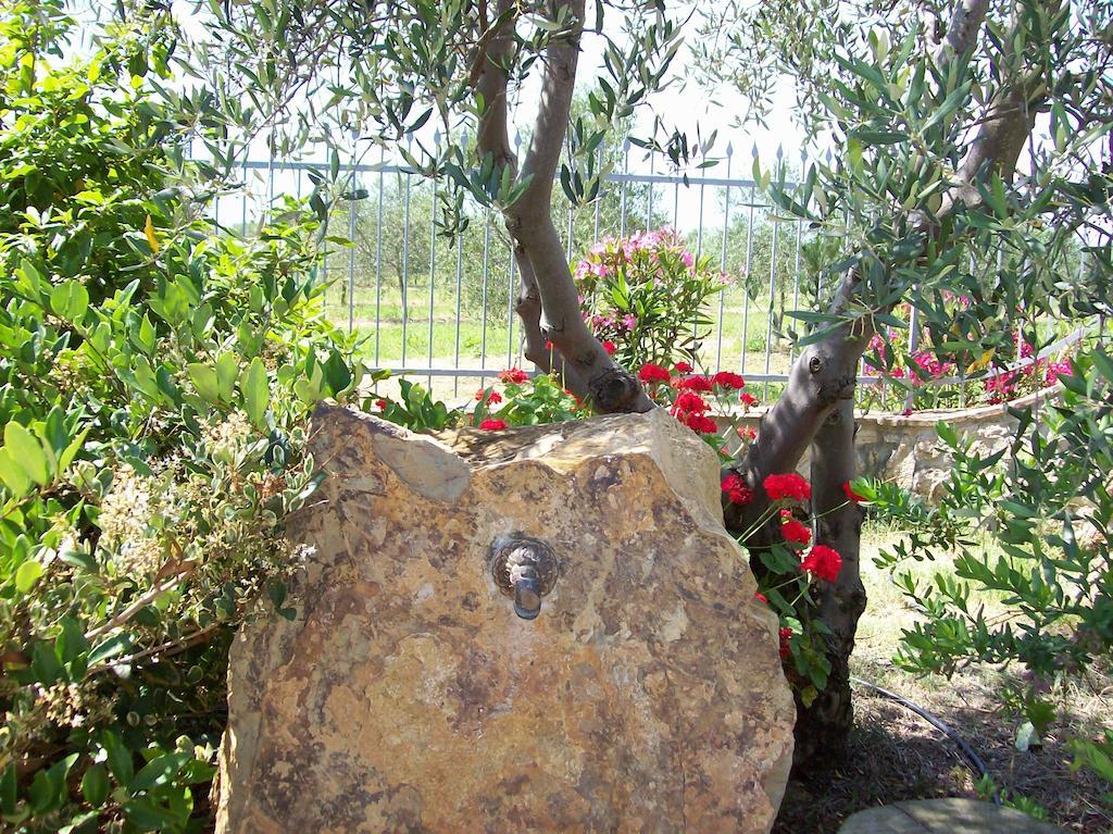 Azienda Agrituristica Le Betulle Riotorto Exteriér fotografie
