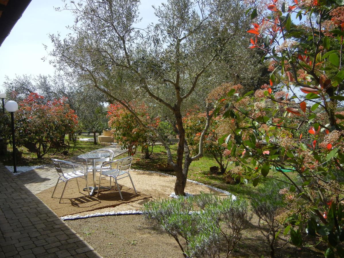 Azienda Agrituristica Le Betulle Riotorto Exteriér fotografie